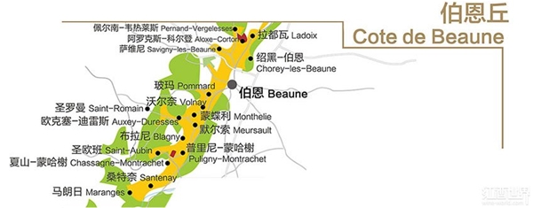 法國勃艮第產區知識大起底