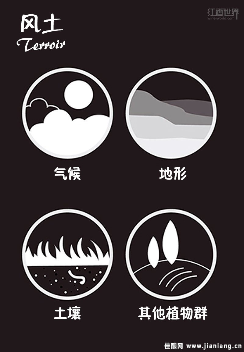 讀懂這9張圖，從葡萄酒“磚家”變“專家”