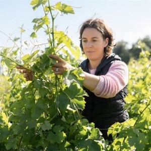 波爾多葡萄酒2022年份報(bào)告